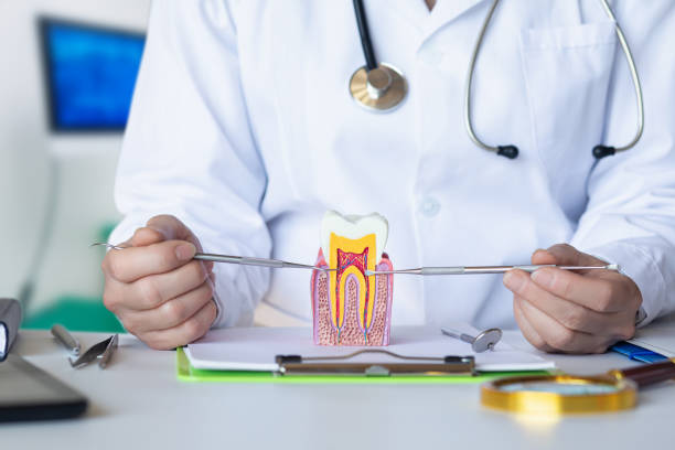 Best Pediatric Emergency Dentist in Violet, LA